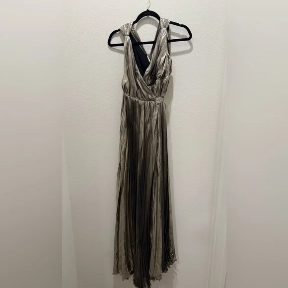 Maria Lucia Hohen Glamorous Metallic Maxi Dress - Picture 3 of 9